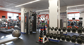 Not-For-Profit Gym